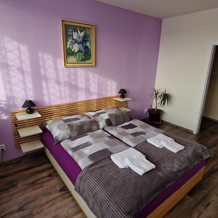 Byt S Jedinecnym Vyhledem Decin Exterior foto